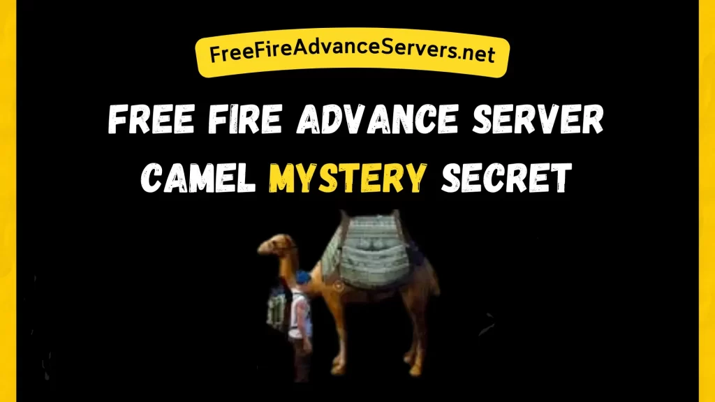 Camel Mystery Secret